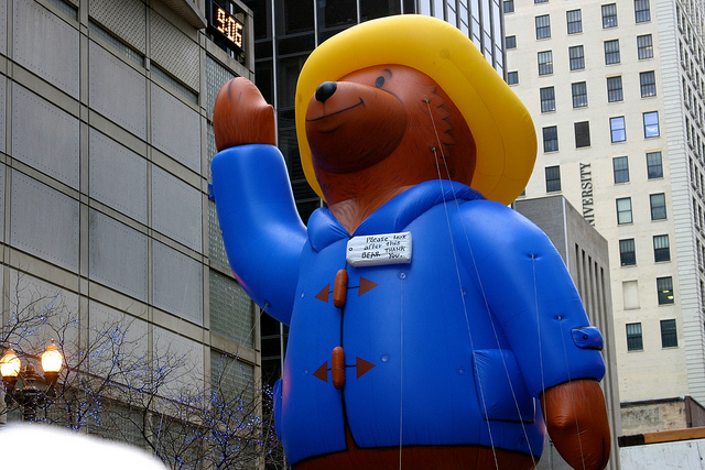 Welcome to New York, Paddington Bear-Photo by  Brian & Jaclyn Drum 